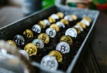 small cap stock strategies