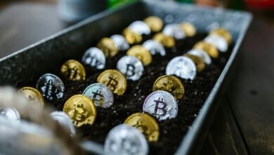 small cap stock strategies