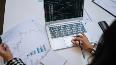 stock picks for six months