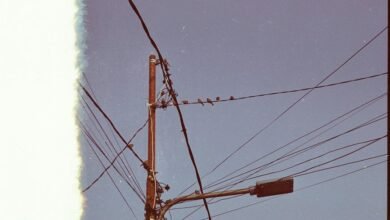 support business inquiry line
