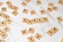 top dividend stocks for income