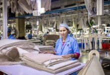 industry insights and analysis