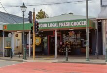 market signals compilation report